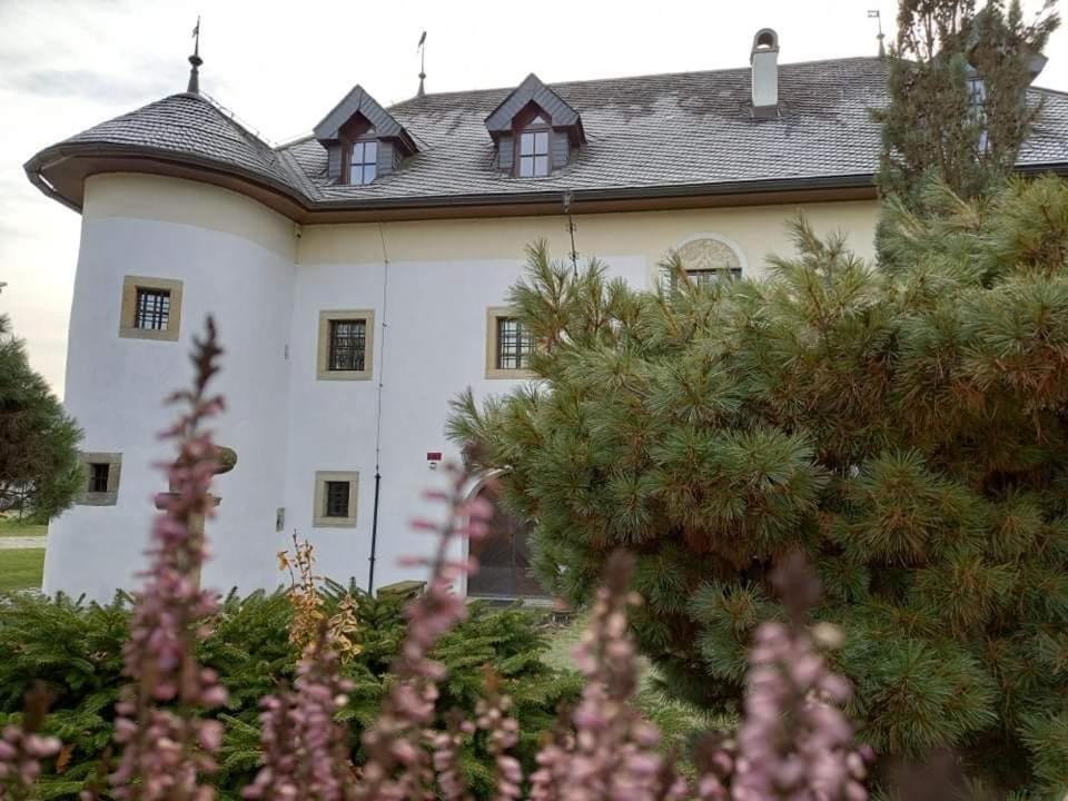 Ferienwohnung Castle Kastiel Kotešová Exterior foto